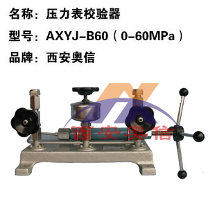  高压压力校验台 AXYJ-B60（0-60Mpa）压力表校验器 