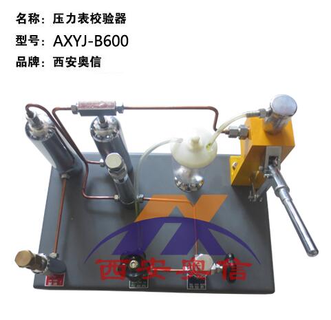  氧气表压力表校验仪 AXYJ-B600 压力校验台 